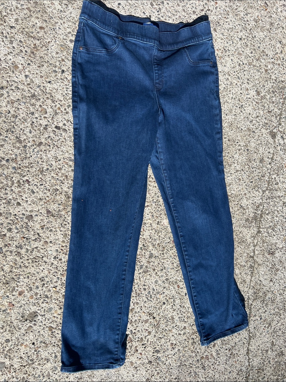 Lane Bryant Indigo pull on Jeans